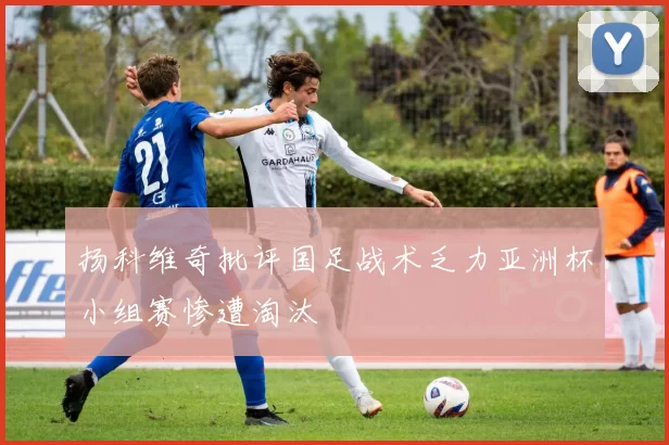 扬科维奇批评国足战术乏力亚洲杯小组赛惨遭淘汰