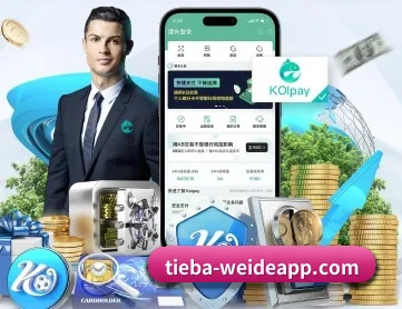 韦德体育 APP 深度功能